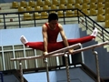 Khởi tranh giải thể dục dụng cụ trẻ và nhóm tuổi năm 2014
